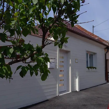 Apartment White Wood House - *